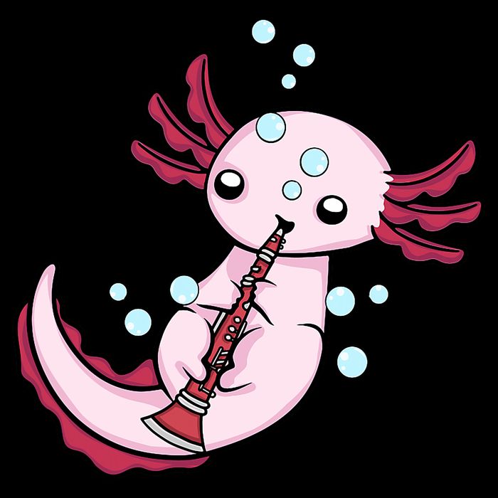 Clarinet Player Axolotl Lover  Big Band Music Clarinet  Youth Performance Sprint T-Shirt
