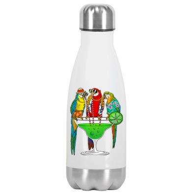 Cool Parrot Art Pet Bird Tropical Parrot Lover Stainless Steel Insulated Water Bottle