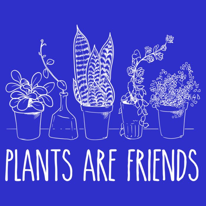 Cute Plants Are Friends Gardening Meaningful Gift Hoodie