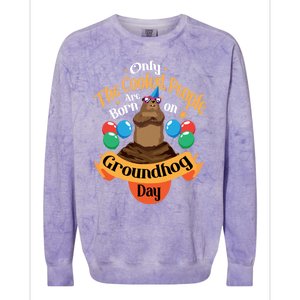 Coolest People Born On Groundhog Day Cute Birthday Party Funny Gift Colorblast Crewneck Sweatshirt