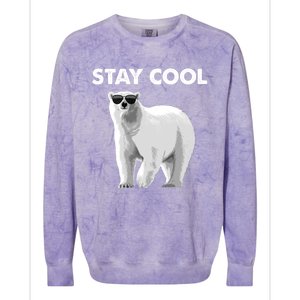 Cool Polar Bear For Men Women Kids Polar Bear Lover Colorblast Crewneck Sweatshirt