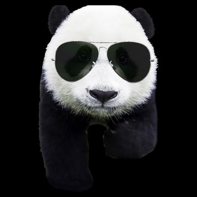 Cool Panda Bear T-Shirt
