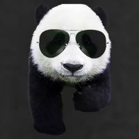 Cool Panda Bear Adult Drive Performance Visor
