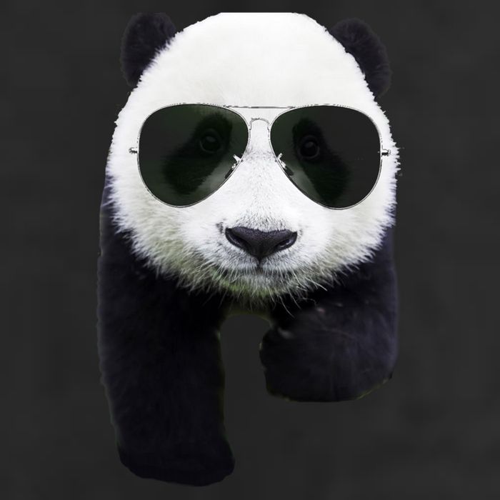 Cool Panda Bear Adult Drive Performance Visor