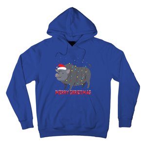 Cute Pot Bellied Pig Christmas Tree Lights Gift Hoodie