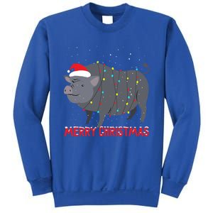 Cute Pot Bellied Pig Christmas Tree Lights Gift Sweatshirt