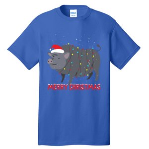 Cute Pot Bellied Pig Christmas Tree Lights Gift Tall T-Shirt