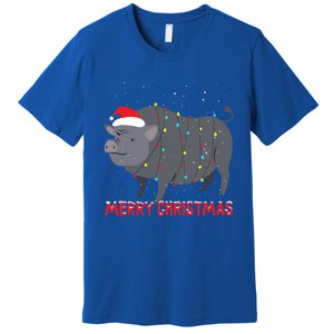 Cute Pot Bellied Pig Christmas Tree Lights Gift Premium T-Shirt