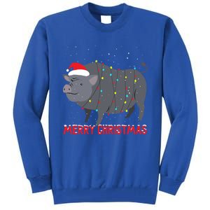 Cute Pot Bellied Pig Christmas Tree Lights Gift Tall Sweatshirt