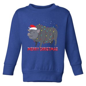 Cute Pot Bellied Pig Christmas Tree Lights Gift Toddler Sweatshirt