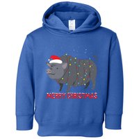 Cute Pot Bellied Pig Christmas Tree Lights Gift Toddler Hoodie