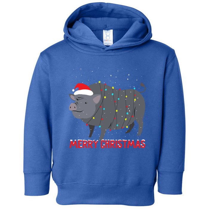 Cute Pot Bellied Pig Christmas Tree Lights Gift Toddler Hoodie