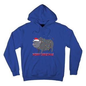 Cute Pot Bellied Pig Christmas Tree Lights Gift Tall Hoodie