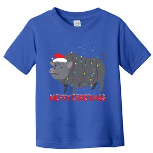 Cute Pot Bellied Pig Christmas Tree Lights Gift Toddler T-Shirt