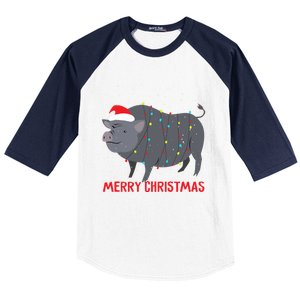 Cute Pot Bellied Pig Christmas Tree Lights Gift Baseball Sleeve Shirt