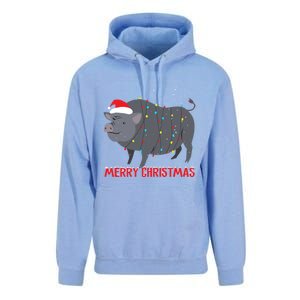 Cute Pot Bellied Pig Christmas Tree Lights Gift Unisex Surf Hoodie