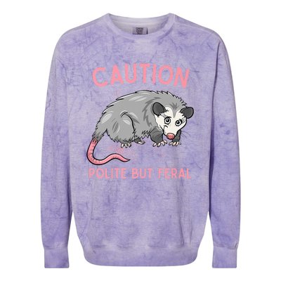 CAUTION POLITE BUT FERAL Funny Opossum Colorblast Crewneck Sweatshirt