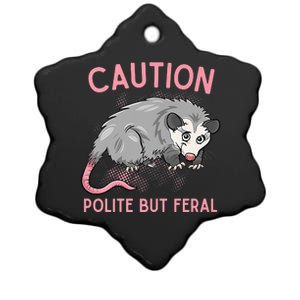 CAUTION POLITE BUT FERAL Funny Opossum Ceramic Star Ornament