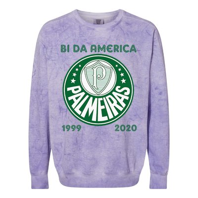 Camiseta Palmeiras Bi America Brasil Soccer Colorblast Crewneck Sweatshirt