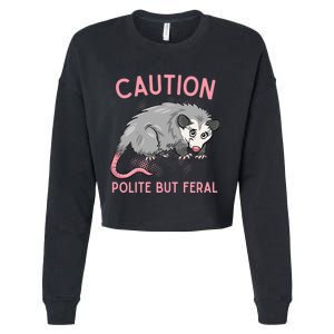 CAUTION POLITE BUT FERAL Funny Opossum Premium Cropped Pullover Crew