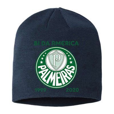 Camiseta Palmeiras Bi America Brasil Soccer Sustainable Beanie