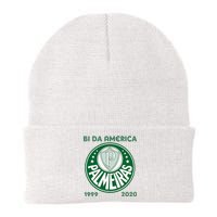 Camiseta Palmeiras Bi America Brasil Soccer Knit Cap Winter Beanie