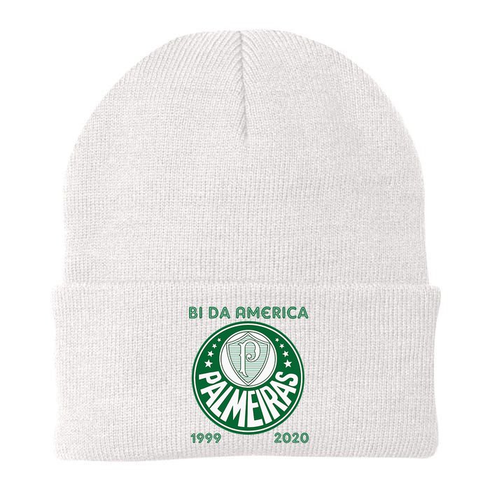 Camiseta Palmeiras Bi America Brasil Soccer Knit Cap Winter Beanie