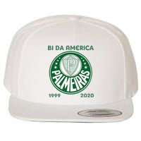 Camiseta Palmeiras Bi America Brasil Soccer Wool Snapback Cap