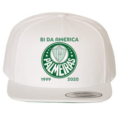 Camiseta Palmeiras Bi America Brasil Soccer Wool Snapback Cap