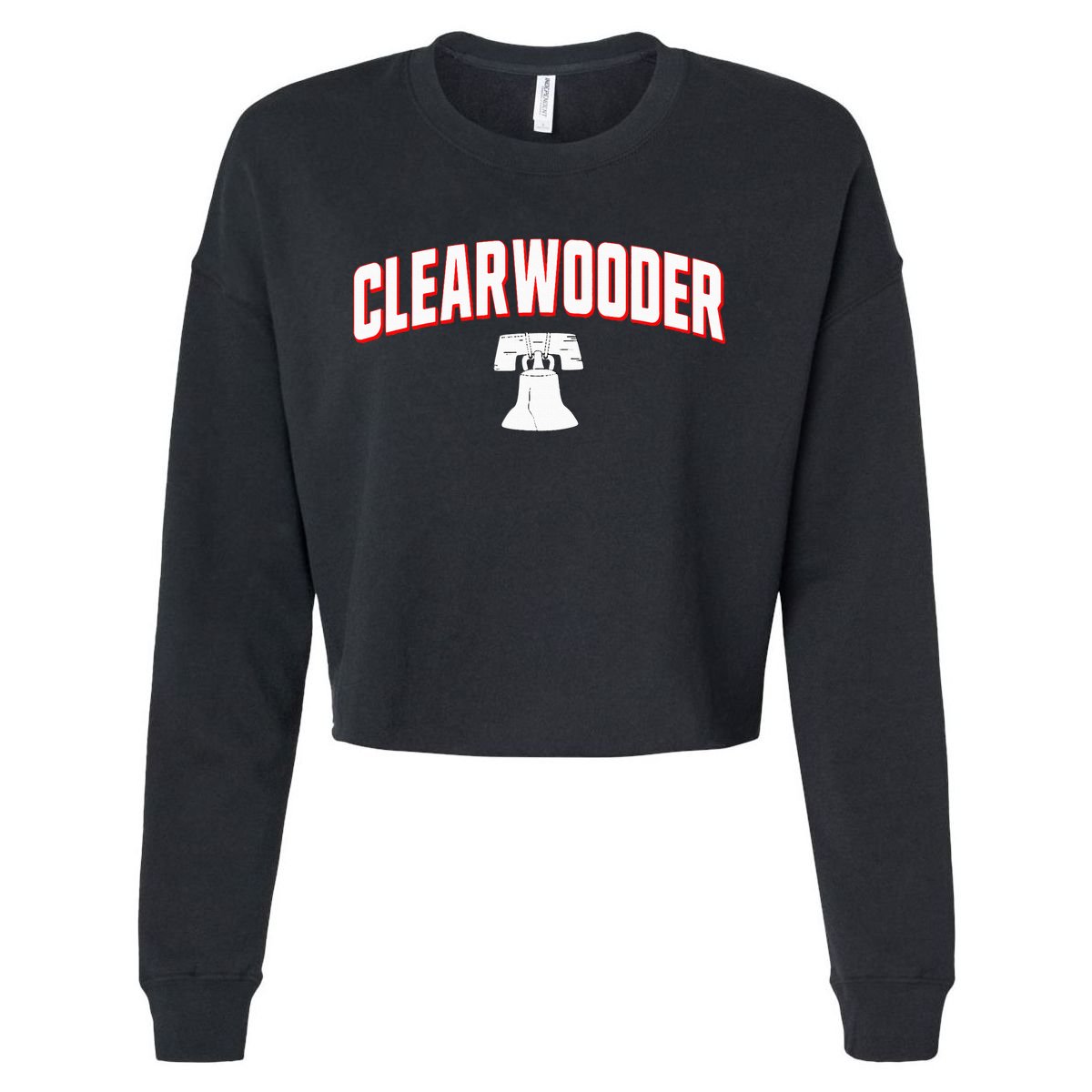 Clearwooder Philly Baseball Spring Training Souvenir Cropped Pullover Crew