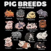 Cute Pig Breeds Of The World Funny Farm Animal Lovers Doggie Tank