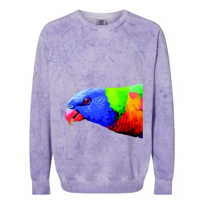 Cool Parrot Bird Funny Side Action Colorblast Crewneck Sweatshirt