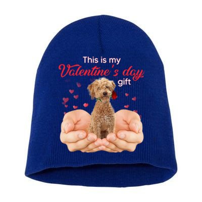 Cute Poodle Crossbreed This Is My Valentine's Day Pajama Gift Short Acrylic Beanie