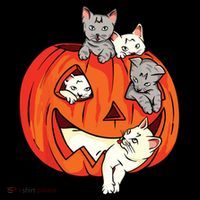 Cats Pumpkin Carved Jack O Lantern Cat Halloween Costume 16 in Basic Backpack