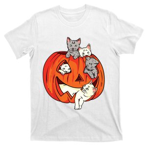 Cats Pumpkin Carved Jack O Lantern Cat Halloween Costume T-Shirt