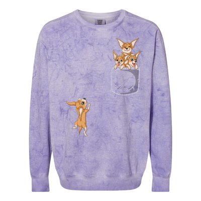 Chihuahua Pocket Colorblast Crewneck Sweatshirt