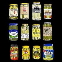 Canned Pickles Canning Season Pickle Jar Lovers Flatbill Hat