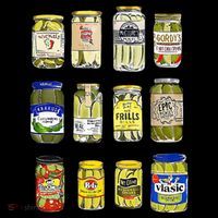 Canned Pickles Canning Season Pickle Jar Lovers Premium T-Shirt