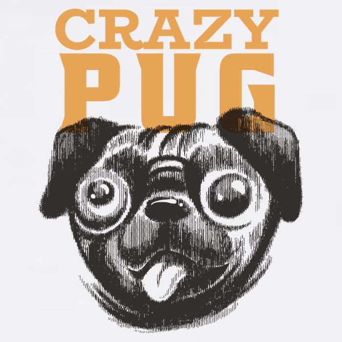 Crazy Pug Premium T-Shirt