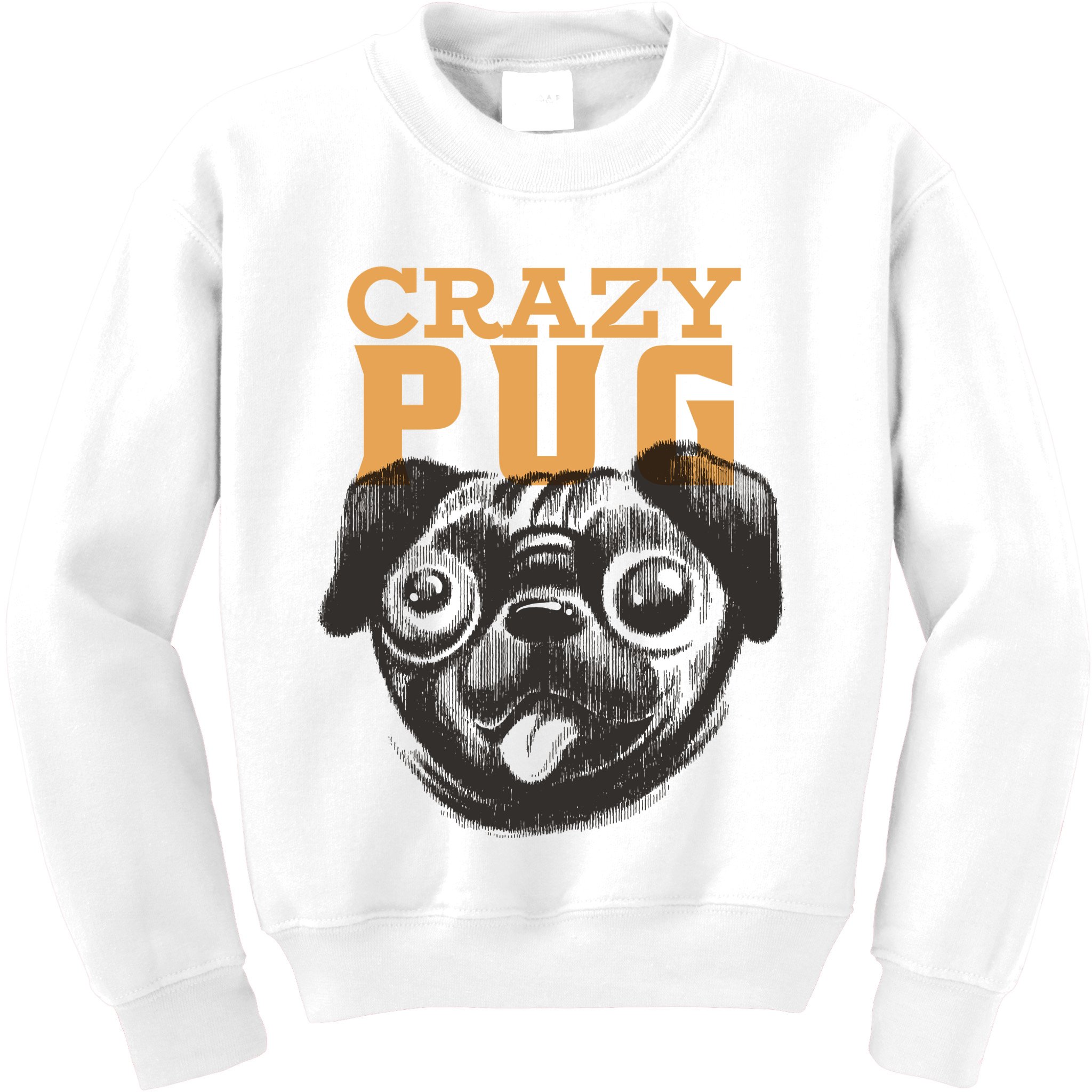 Crazy Pug Kids Sweatshirt