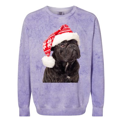 Cute Pug Christmas Santa Hat Funny Dog Fun Christmas Pug Gift Colorblast Crewneck Sweatshirt