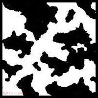 Cow Pattern Sweatshirt