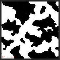 Cow Pattern Beanie
