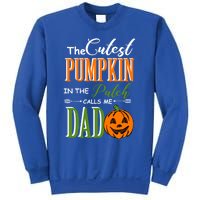 Cutest Pumpkin Calls Me Dad Halloween Matching Gift Cool Gift Sweatshirt