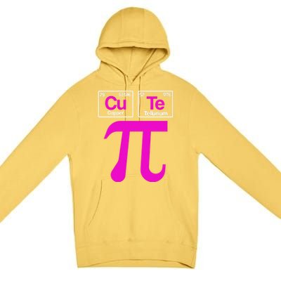 Cutie Pi Celebrate Pi Day March 14 Math And Science Lover Gift Premium Pullover Hoodie