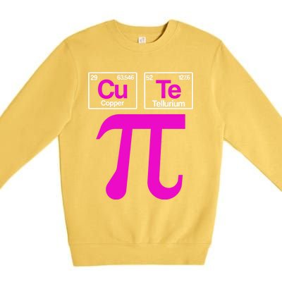 Cutie Pi Celebrate Pi Day March 14 Math And Science Lover Gift Premium Crewneck Sweatshirt