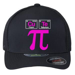 Cutie Pi Celebrate Pi Day March 14 Math And Science Lover Gift Flexfit Unipanel Trucker Cap