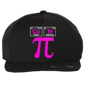 Cutie Pi Celebrate Pi Day March 14 Math And Science Lover Gift Wool Snapback Cap