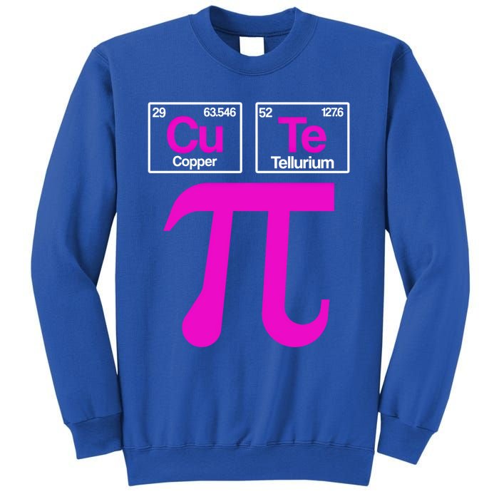 Cutie Pi Celebrate Pi Day March 14 Math And Science Lover Gift Sweatshirt