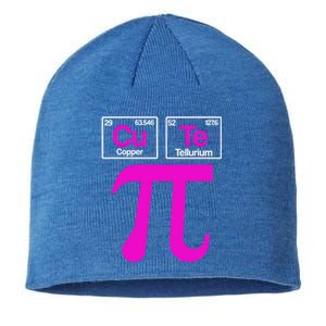 Cutie Pi Celebrate Pi Day March 14 Math And Science Lover Gift Sustainable Beanie